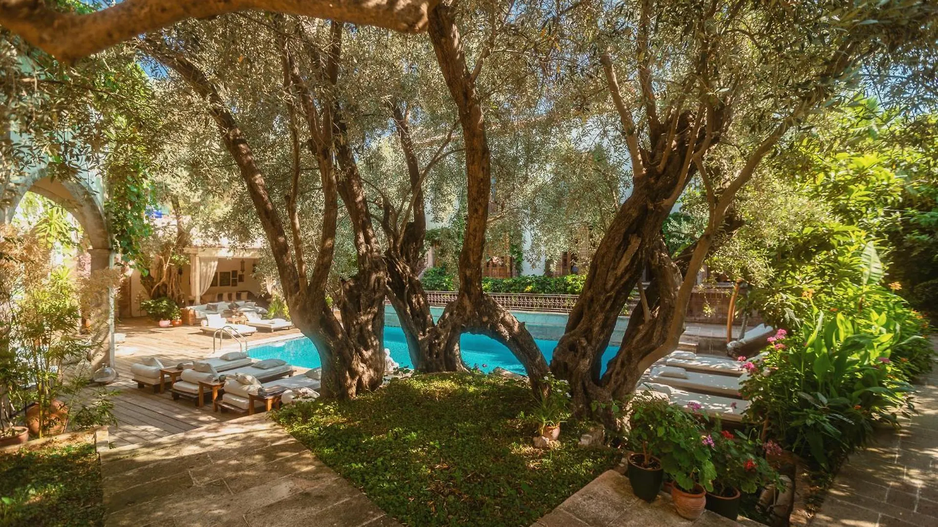 Jade Residence (Adults Only) Oludeniz Hotel